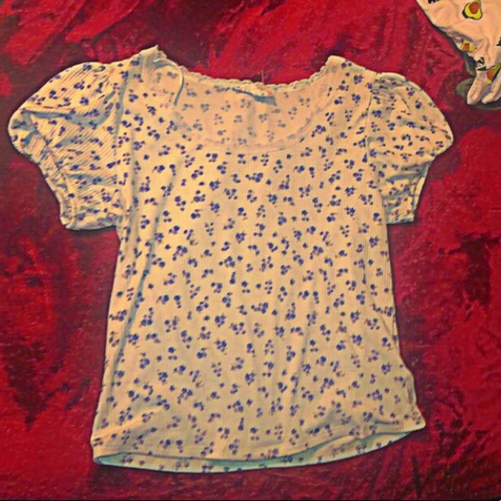it is a crop top with blue flowers